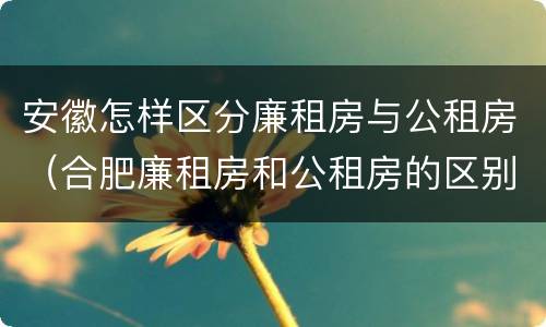 安徽怎样区分廉租房与公租房（合肥廉租房和公租房的区别）
