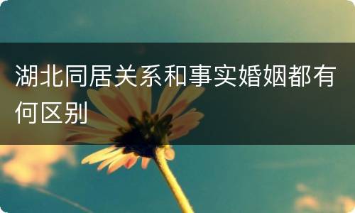 湖北同居关系和事实婚姻都有何区别