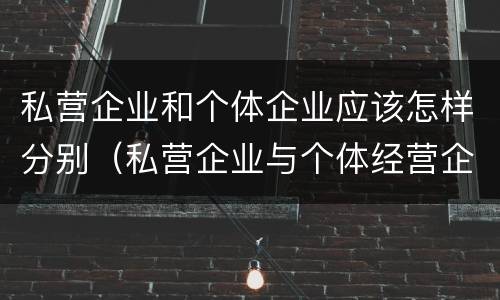 私营企业和个体企业应该怎样分别（私营企业与个体经营企业的区别）