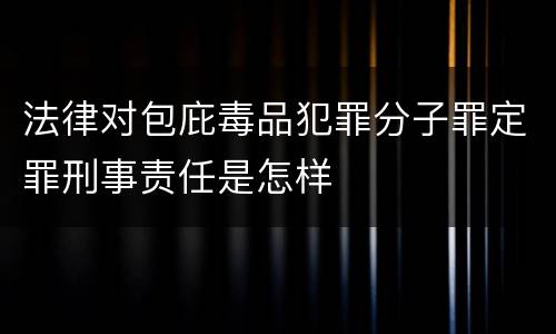 法律对包庇毒品犯罪分子罪定罪刑事责任是怎样