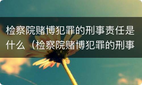 检察院赌博犯罪的刑事责任是什么（检察院赌博犯罪的刑事责任是什么处罚）