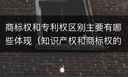 商标权和专利权区别主要有哪些体现（知识产权和商标权的区别）