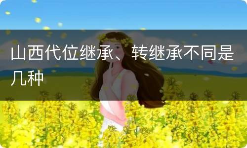 山西代位继承、转继承不同是几种