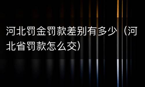 河北罚金罚款差别有多少（河北省罚款怎么交）