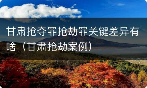 甘肃抢夺罪抢劫罪关键差异有啥（甘肃抢劫案例）