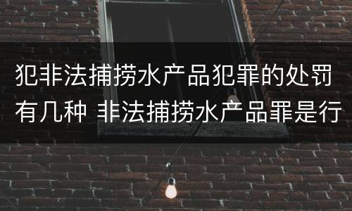 犯非法捕捞水产品犯罪的处罚有几种 非法捕捞水产品罪是行为犯吗