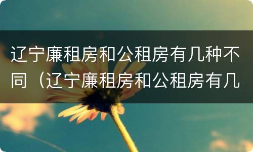 辽宁廉租房和公租房有几种不同（辽宁廉租房和公租房有几种不同吗）