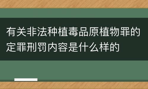 有关非法种植毒品原植物罪的定罪刑罚内容是什么样的