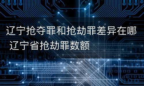 辽宁抢夺罪和抢劫罪差异在哪 辽宁省抢劫罪数额