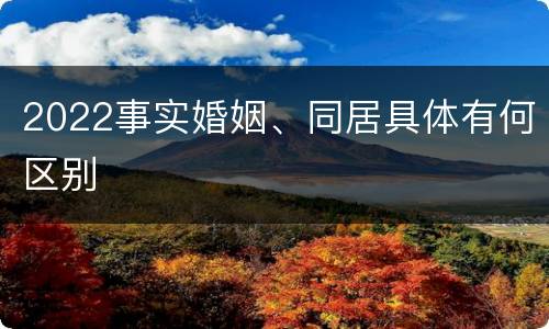 2022事实婚姻、同居具体有何区别