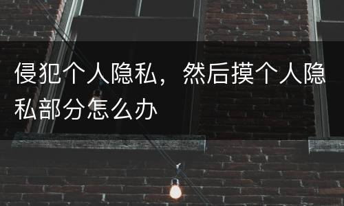 侵犯个人隐私，然后摸个人隐私部分怎么办