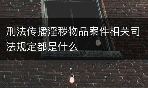 刑法传播淫秽物品案件相关司法规定都是什么