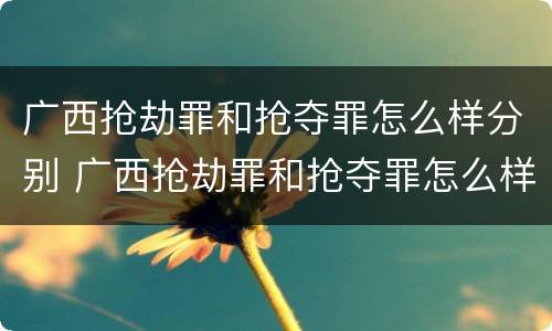 广西抢劫罪和抢夺罪怎么样分别 广西抢劫罪和抢夺罪怎么样分别判决