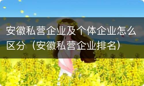 安徽私营企业及个体企业怎么区分（安徽私营企业排名）