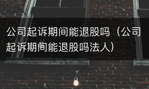公司起诉期间能退股吗（公司起诉期间能退股吗法人）