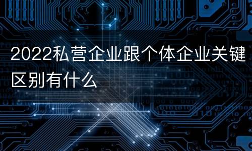 2022私营企业跟个体企业关键区别有什么