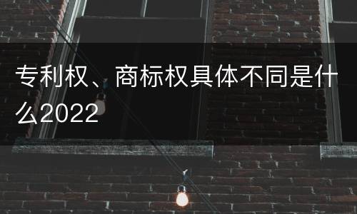 专利权、商标权具体不同是什么2022