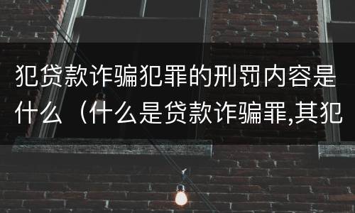 犯贷款诈骗犯罪的刑罚内容是什么（什么是贷款诈骗罪,其犯罪构成是什么）