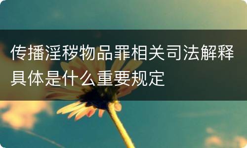 传播淫秽物品罪相关司法解释具体是什么重要规定