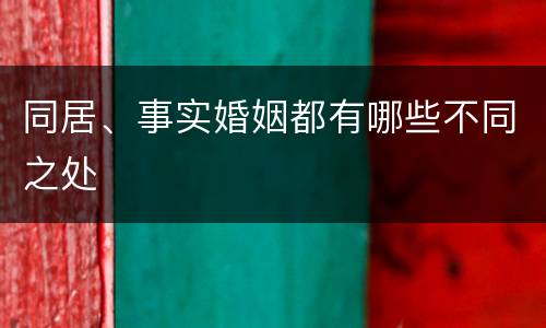 同居、事实婚姻都有哪些不同之处