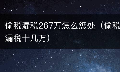 偷税漏税267万怎么惩处（偷税漏税十几万）