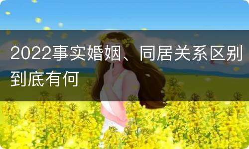 2022事实婚姻、同居关系区别到底有何