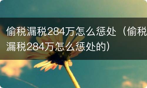 偷税漏税284万怎么惩处（偷税漏税284万怎么惩处的）