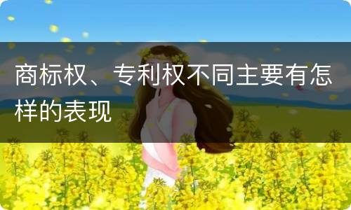 商标权、专利权不同主要有怎样的表现