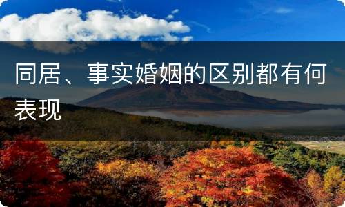 同居、事实婚姻的区别都有何表现