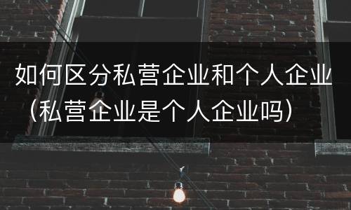 如何区分私营企业和个人企业（私营企业是个人企业吗）