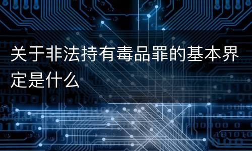关于非法持有毒品罪的基本界定是什么