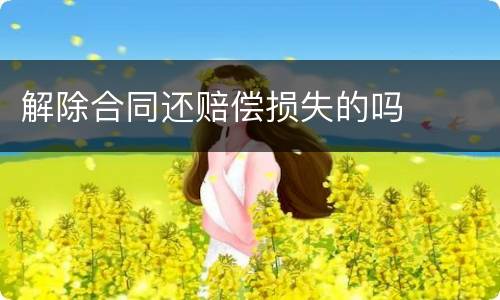 解除合同还赔偿损失的吗