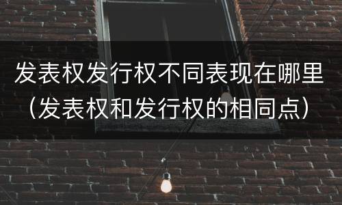 发表权发行权不同表现在哪里（发表权和发行权的相同点）