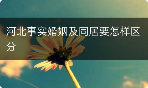 河北事实婚姻及同居要怎样区分