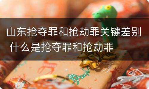 山东抢夺罪和抢劫罪关键差别 什么是抢夺罪和抢劫罪