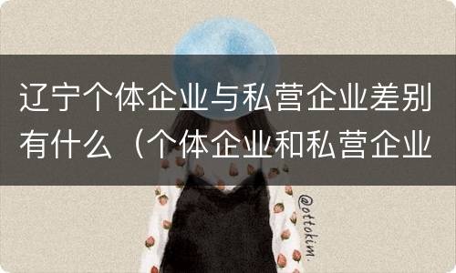 辽宁个体企业与私营企业差别有什么（个体企业和私营企业的区别）