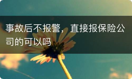 事故后不报警，直接报保险公司的可以吗