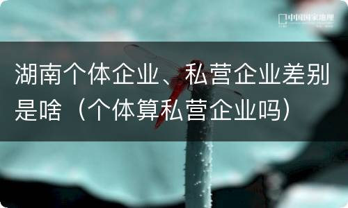 湖南个体企业、私营企业差别是啥（个体算私营企业吗）