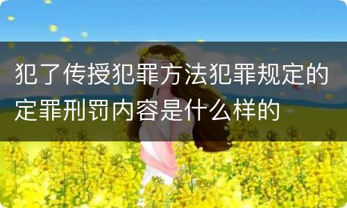 犯了传授犯罪方法犯罪规定的定罪刑罚内容是什么样的