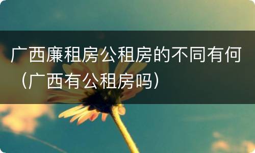 广西廉租房公租房的不同有何（广西有公租房吗）
