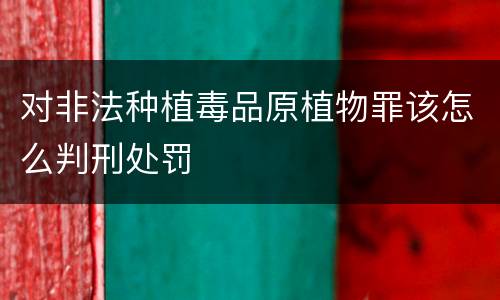 对非法种植毒品原植物罪该怎么判刑处罚