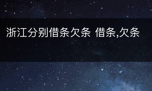 浙江分别借条欠条 借条,欠条