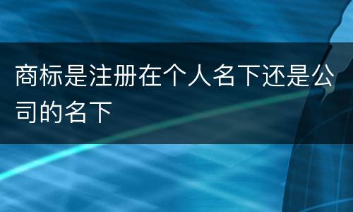 商标是注册在个人名下还是公司的名下
