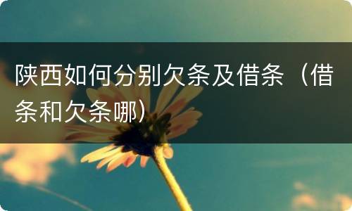陕西如何分别欠条及借条（借条和欠条哪）