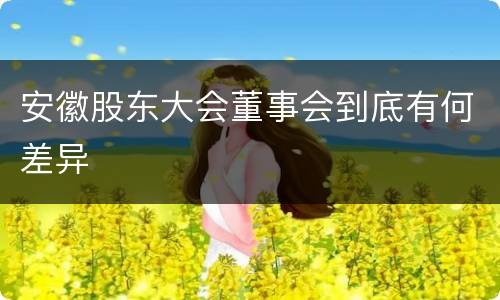 安徽股东大会董事会到底有何差异