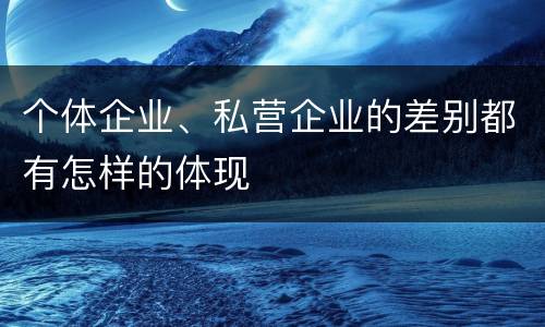 个体企业、私营企业的差别都有怎样的体现