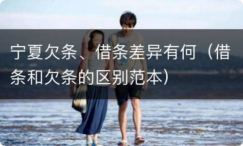 宁夏欠条、借条差异有何（借条和欠条的区别范本）
