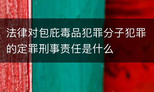 法律对包庇毒品犯罪分子犯罪的定罪刑事责任是什么