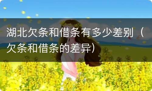 湖北欠条和借条有多少差别（欠条和借条的差异）