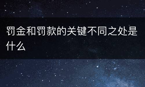 罚金和罚款的关键不同之处是什么